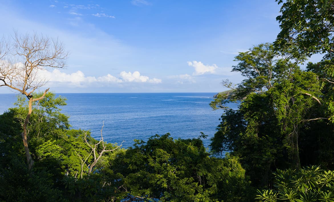 ocean view from estate home 9